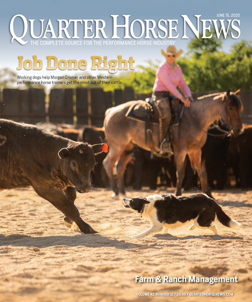 June 15, 2020, Issue of Quarter Horse News Magazine